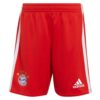 9391 PACK BAYERN MUNICH DOMICILE. ENSEMBLE ADULTE MAILLOT ET SHORT 2022 2023