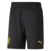 9974 PACK MANCHESTER CITY EXTERIEUR FODEN. ENSEMBLE ADULTE MAILLOT ET SHORT 2022 2023