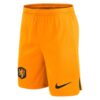 11292 PACK PAYS BAS DOMICILE VIRGIL VAN DIJK . ENSEMBLE ADULTE MAILLOT ET SHORT 2022 2023