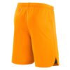 11293 PACK PAYS BAS DOMICILE VIRGIL VAN DIJK . ENSEMBLE ADULTE MAILLOT ET SHORT 2022 2023